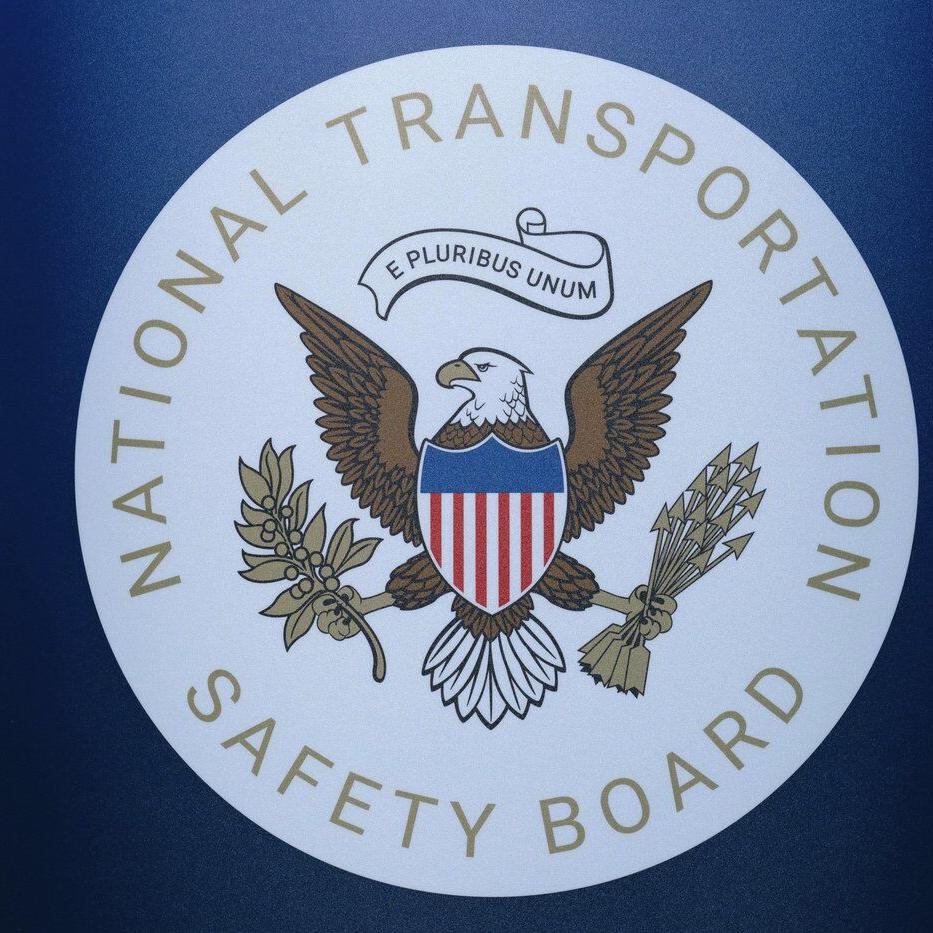 Pilot killed in small plane crash in North Carolina raised a wheel to avoid a turtle, NTSB says